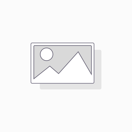 Zagg Santa Cruz - Iphone 17 (Not Plus) Smoke Clear Case